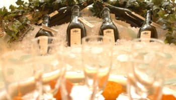 Catering 1